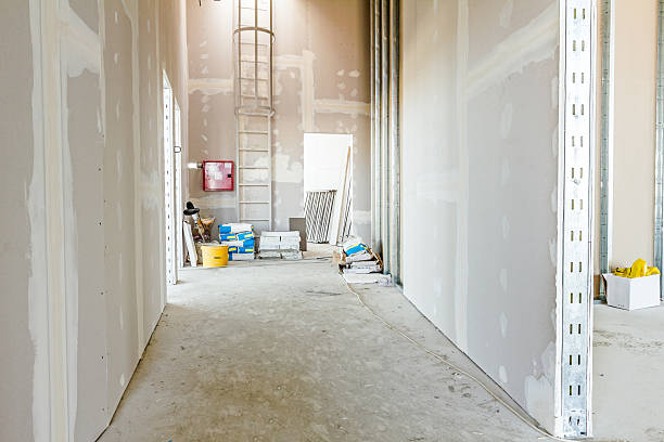 Best Mold Odor Removal Services  in Patterson, CA