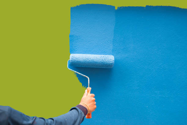 Best Basement Mold Removal  in Patterson, CA
